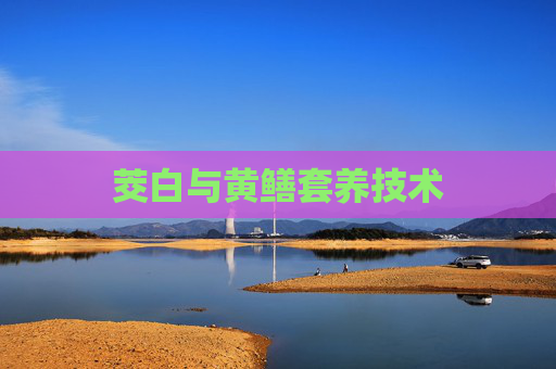 茭白与黄鳝套养技术
