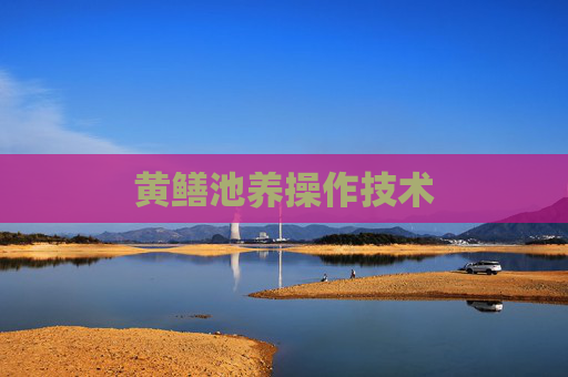 黄鳝池养操作技术