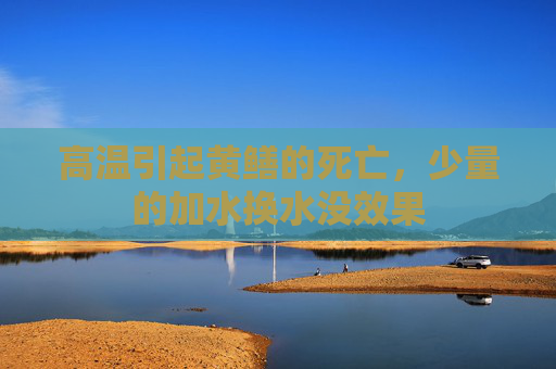 高温引起黄鳝的死亡，少量的加水换水没效果