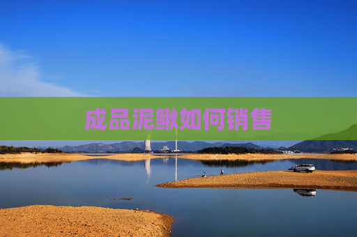 成品泥鳅如何销售