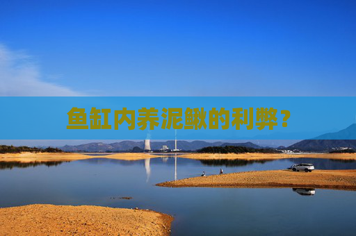 鱼缸内养泥鳅的利弊？