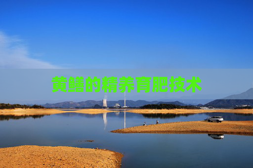黄鳝的精养育肥技术
