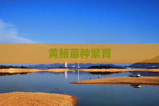 黄鳝苗种繁育