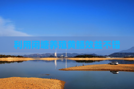 利用闲塘养殖黄鳝效益不错