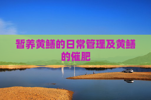 暂养黄鳝的日常管理及黄鳝的催肥