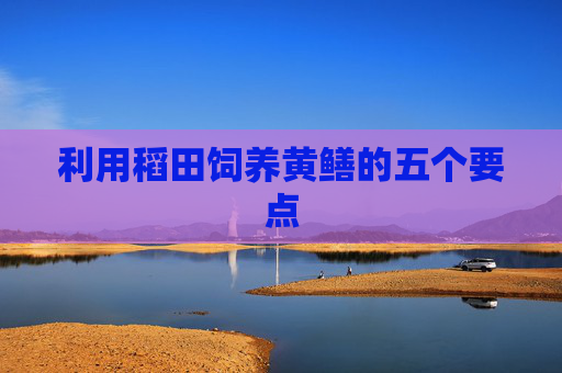 利用稻田饲养黄鳝的五个要点