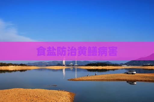 食盐防治黄鳝病害