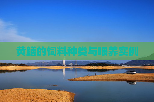 黄鳝的饲料种类与喂养实例