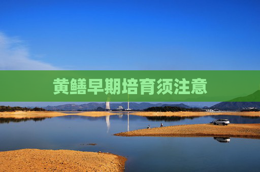 黄鳝早期培育须注意