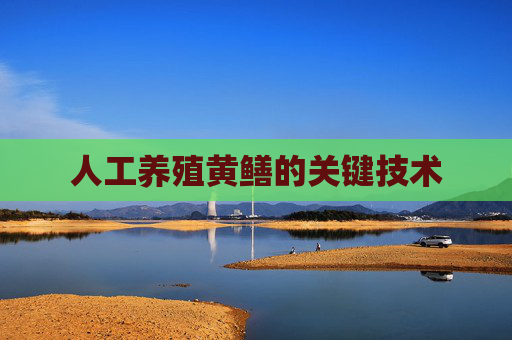 人工养殖黄鳝的关键技术
