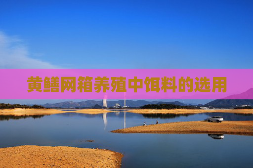黄鳝网箱养殖中饵料的选用