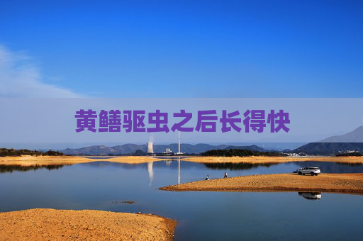 黄鳝驱虫之后长得快
