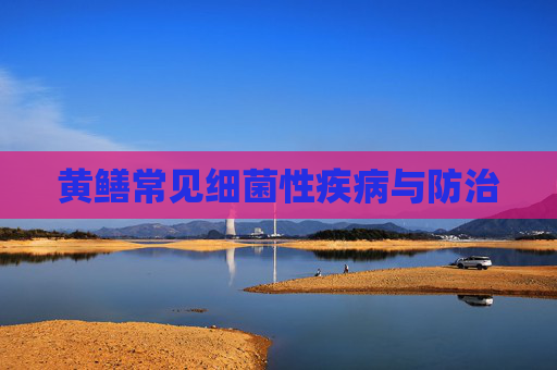 黄鳝常见细菌性疾病与防治