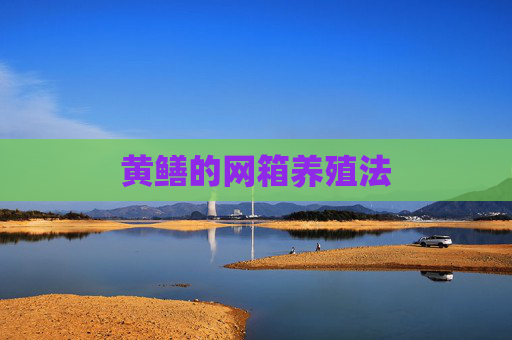 黄鳝的网箱养殖法