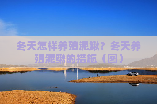 冬天怎样养殖泥鳅？冬天养殖泥鳅的措施（图）
