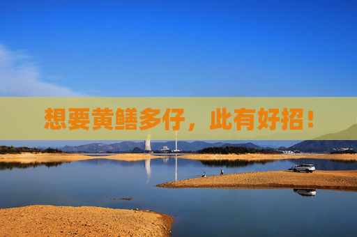 想要黄鳝多仔，此有好招！
