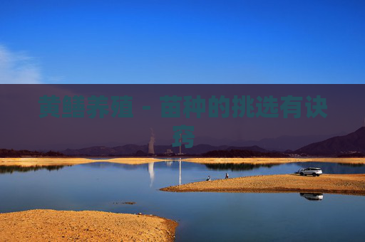 黄鳝养殖－苗种的挑选有诀窍