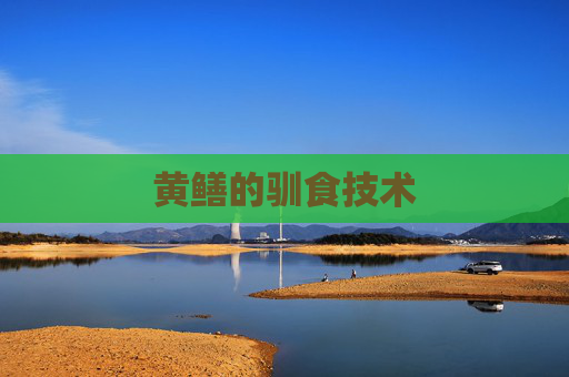 黄鳝的驯食技术