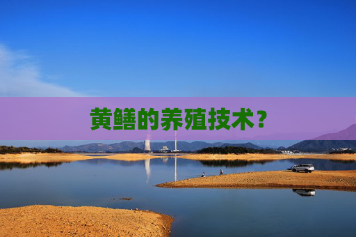 黄鳝的养殖技术？
