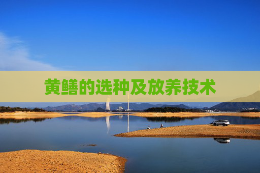 黄鳝的选种及放养技术