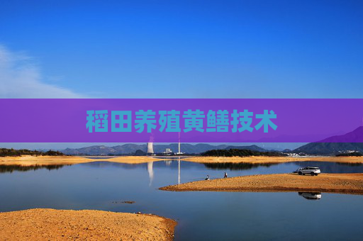 稻田养殖黄鳝技术