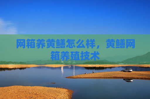 网箱养黄鳝怎么样，黄鳝网箱养殖技术