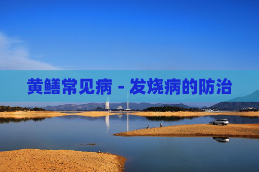 黄鳝常见病－发烧病的防治