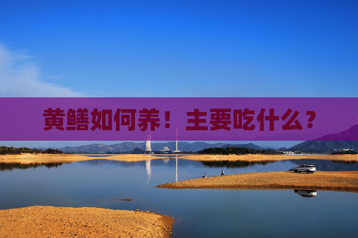 黄鳝如何养!主要吃什么? 黄鳝如何养!主要吃什么?