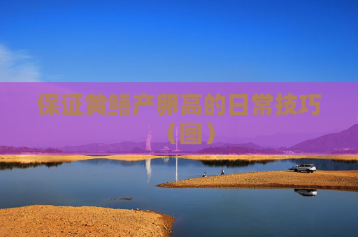 保证黄鳝产卵高的日常技巧（图）