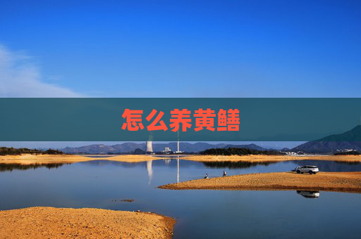 怎么养黄鳝 怎么养黄鳝