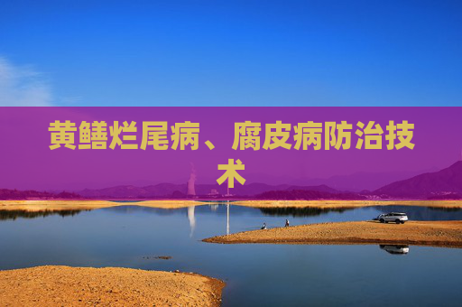 黄鳝烂尾病、腐皮病防治技术