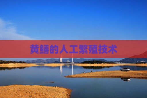 黄鳝的人工繁殖技术