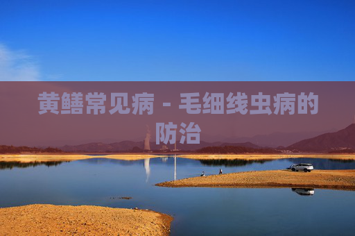 黄鳝常见病－毛细线虫病的防治