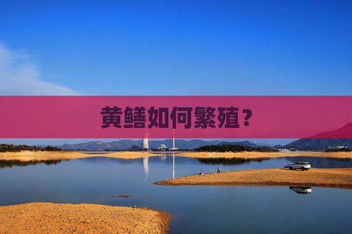 黄鳝如何繁殖？