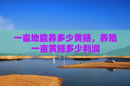 一亩地能养多少黄鳝，养殖一亩黄鳝多少利润