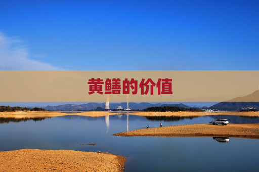 黄鳝的价值