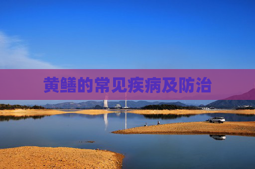 黄鳝的常见疾病及防治