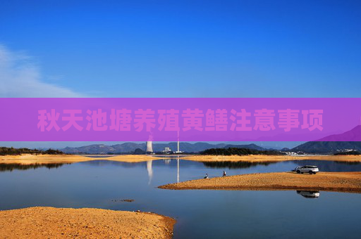 秋天池塘养殖黄鳝注意事项