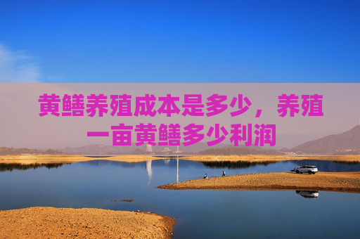 黄鳝养殖成本是多少，养殖一亩黄鳝多少利润