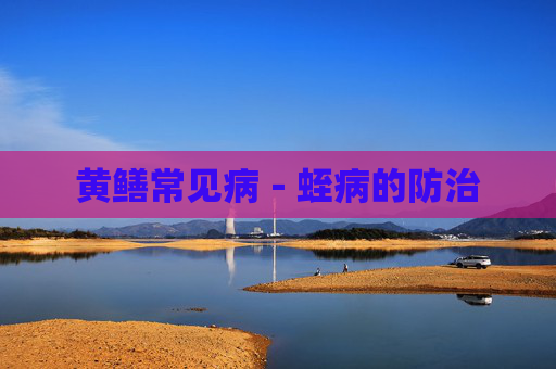 黄鳝常见病－蛭病的防治