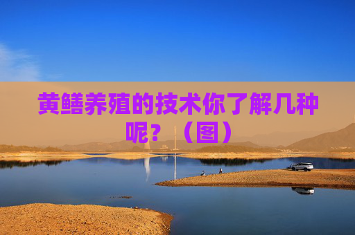 黄鳝养殖的技术你了解几种呢？（图）
