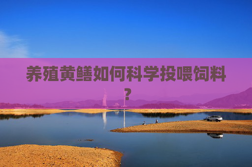 养殖黄鳝如何科学投喂饲料？
