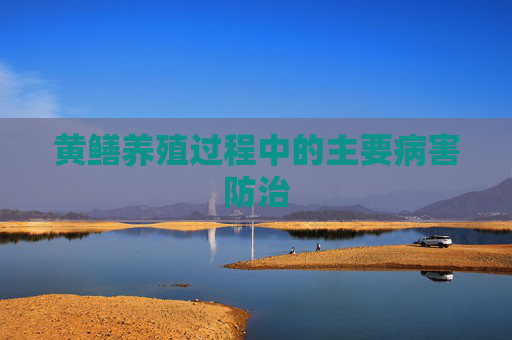 黄鳝养殖过程中的主要病害防治