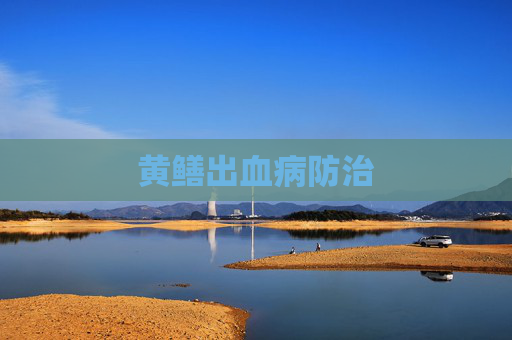 黄鳝出血病防治