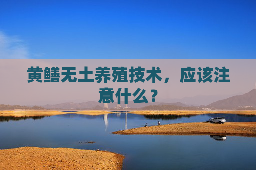 黄鳝无土养殖技术，应该注意什么？