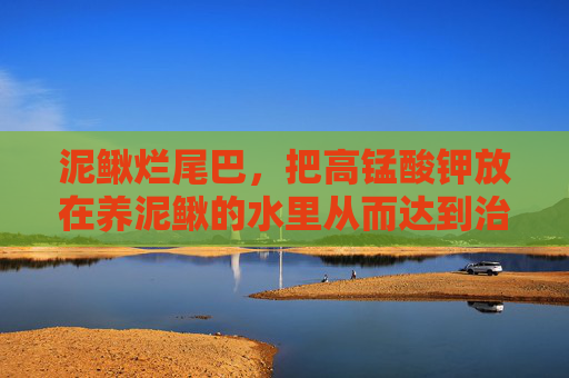 泥鳅烂尾巴，把高锰酸钾放在养泥鳅的水里从而达到治疗的效果，这样靠谱吗？