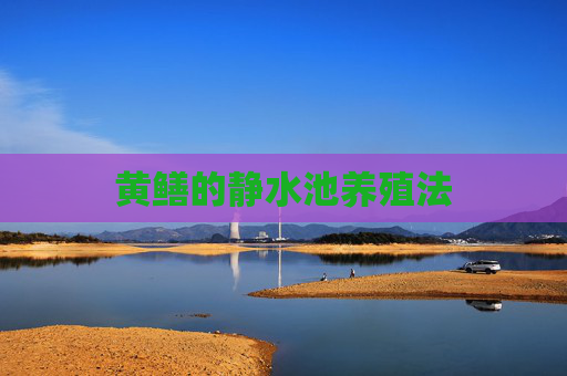 黄鳝的静水池养殖法
