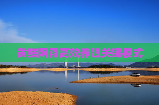 黄鳝网箱高效养殖关键模式