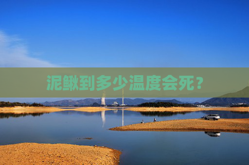 泥鳅到多少温度会死？
