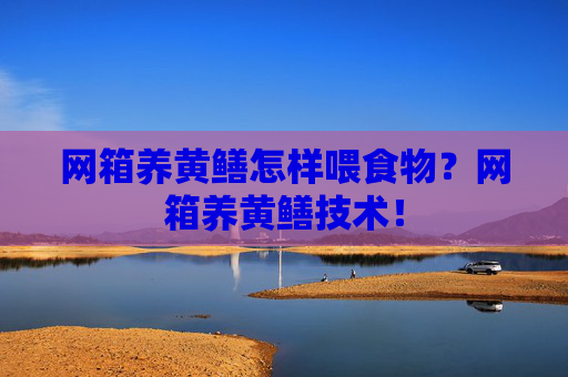 网箱养黄鳝怎样喂食物？网箱养黄鳝技术！